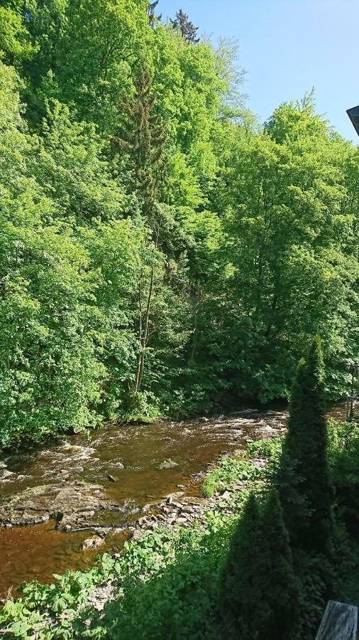 Tradition Monschau 3 المظهر الخارجي الصورة